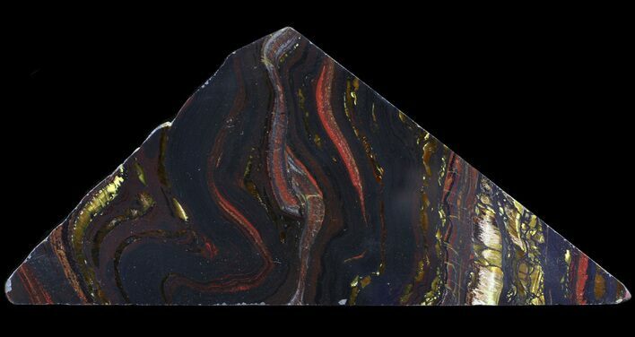 Polished Tiger Iron Stromatolite - ( Billion Years) #65527